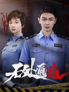 鹤遗失的语言 封面图